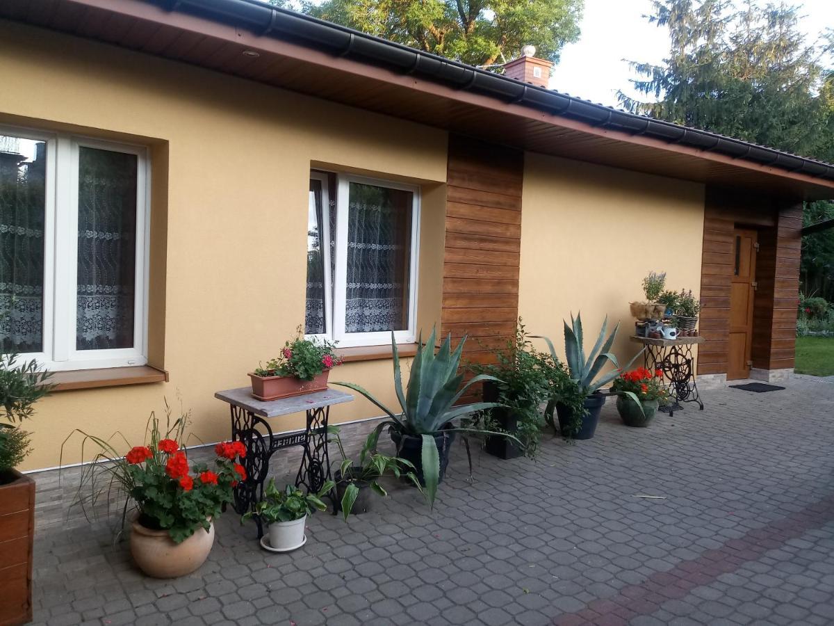 Agroturystyka U Agaty Хенцины Экстерьер фото