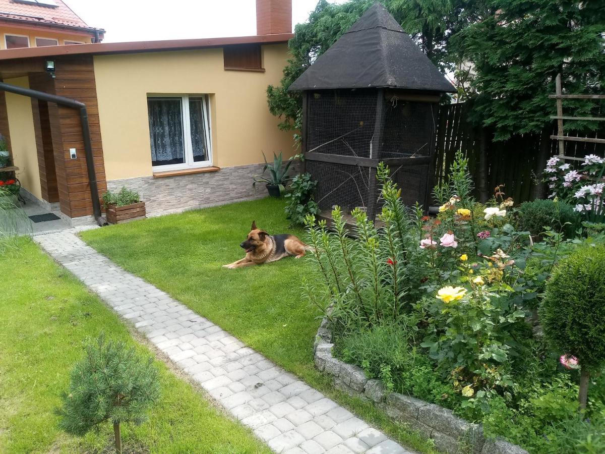 Agroturystyka U Agaty Хенцины Экстерьер фото